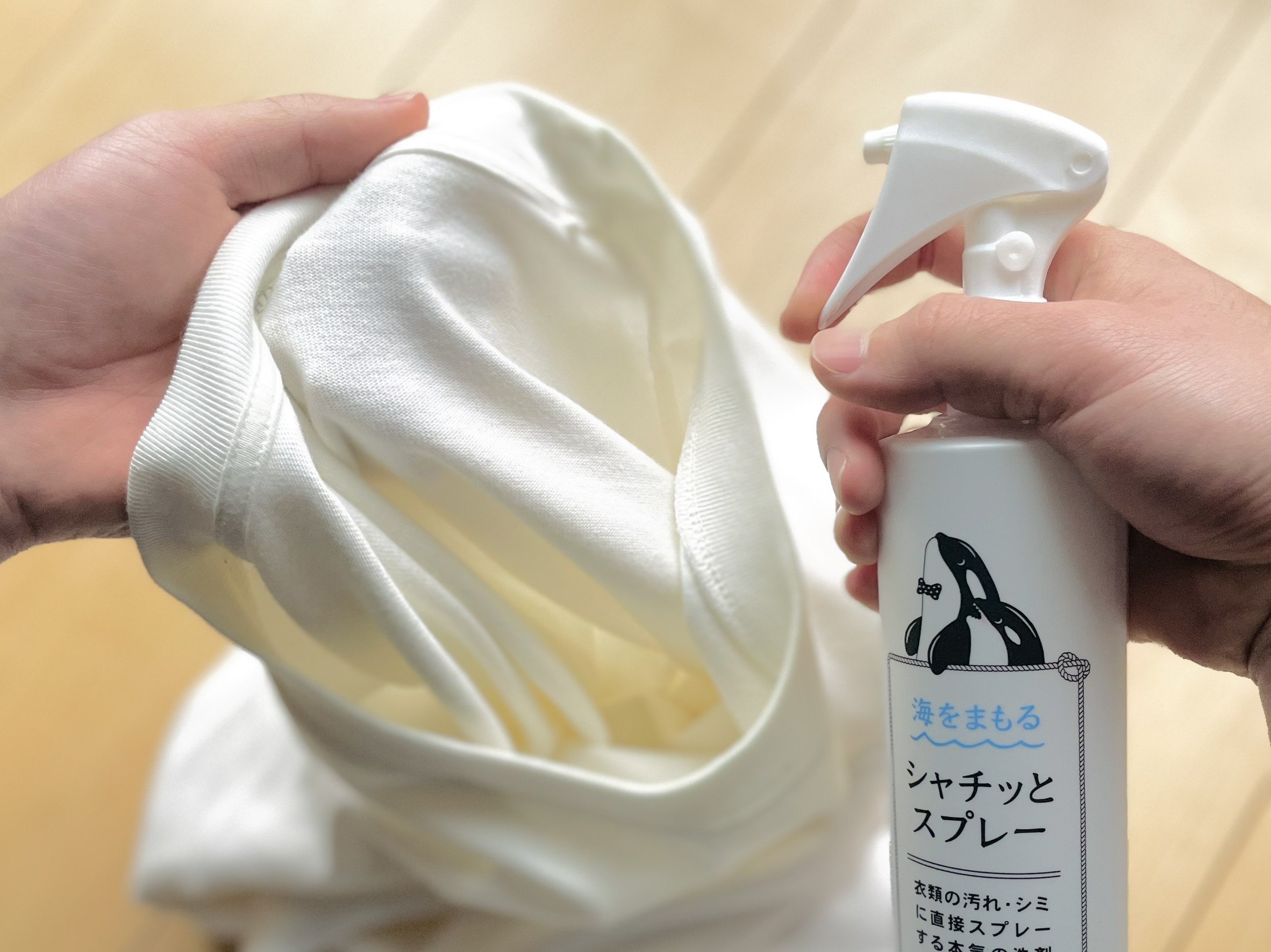 新生活準備リスト がんこ本舗 海へ…Fukii 海へ すすぎ0 新生活 洗濯 掃除 家事