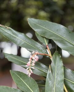 がんこ本舗, 海へ…, 地域洗剤, 地域循環共生圏, Regenerative Future, エコ洗剤, サステナブルライフ, アロマ, SDGs, 環境活動