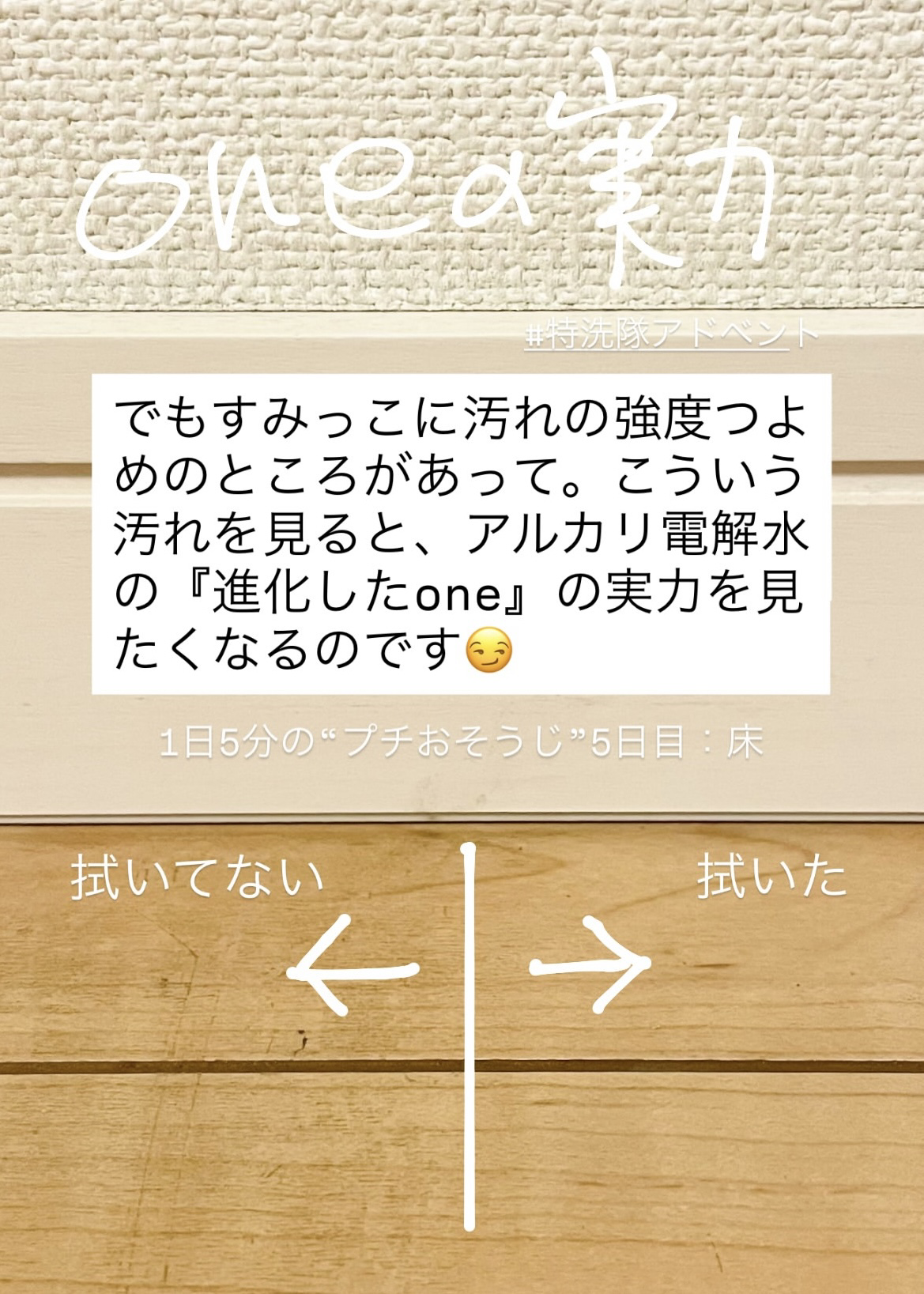 特洗隊アドベント　おそうじ　大掃除　順番　リスト　道具　おそうじスプレー　多用途　海へ　森と　がんこ本舗