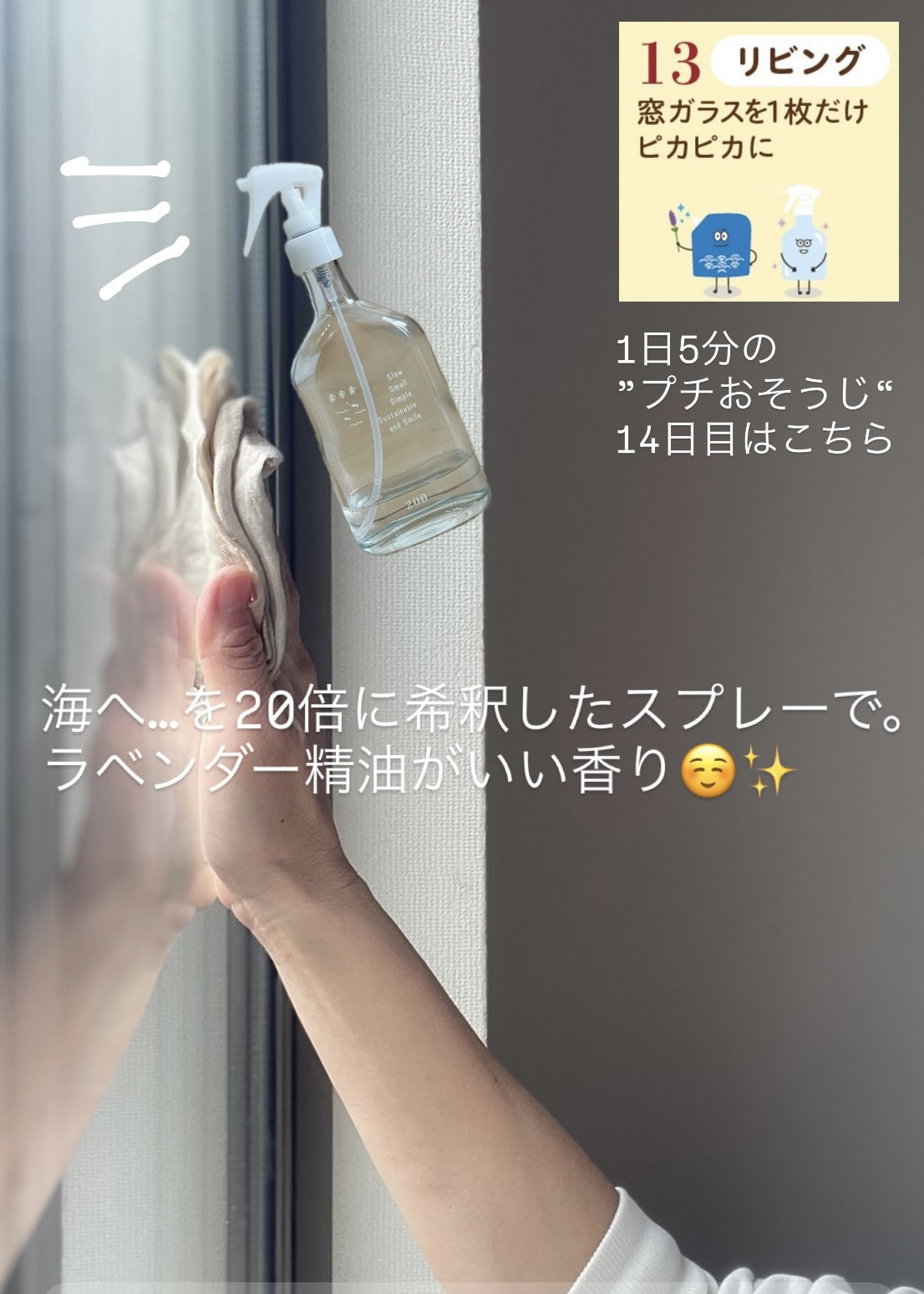 特洗隊アドベント　おそうじ　大掃除　順番　リスト　道具　おそうじスプレー　多用途　海へ　森と　がんこ本舗