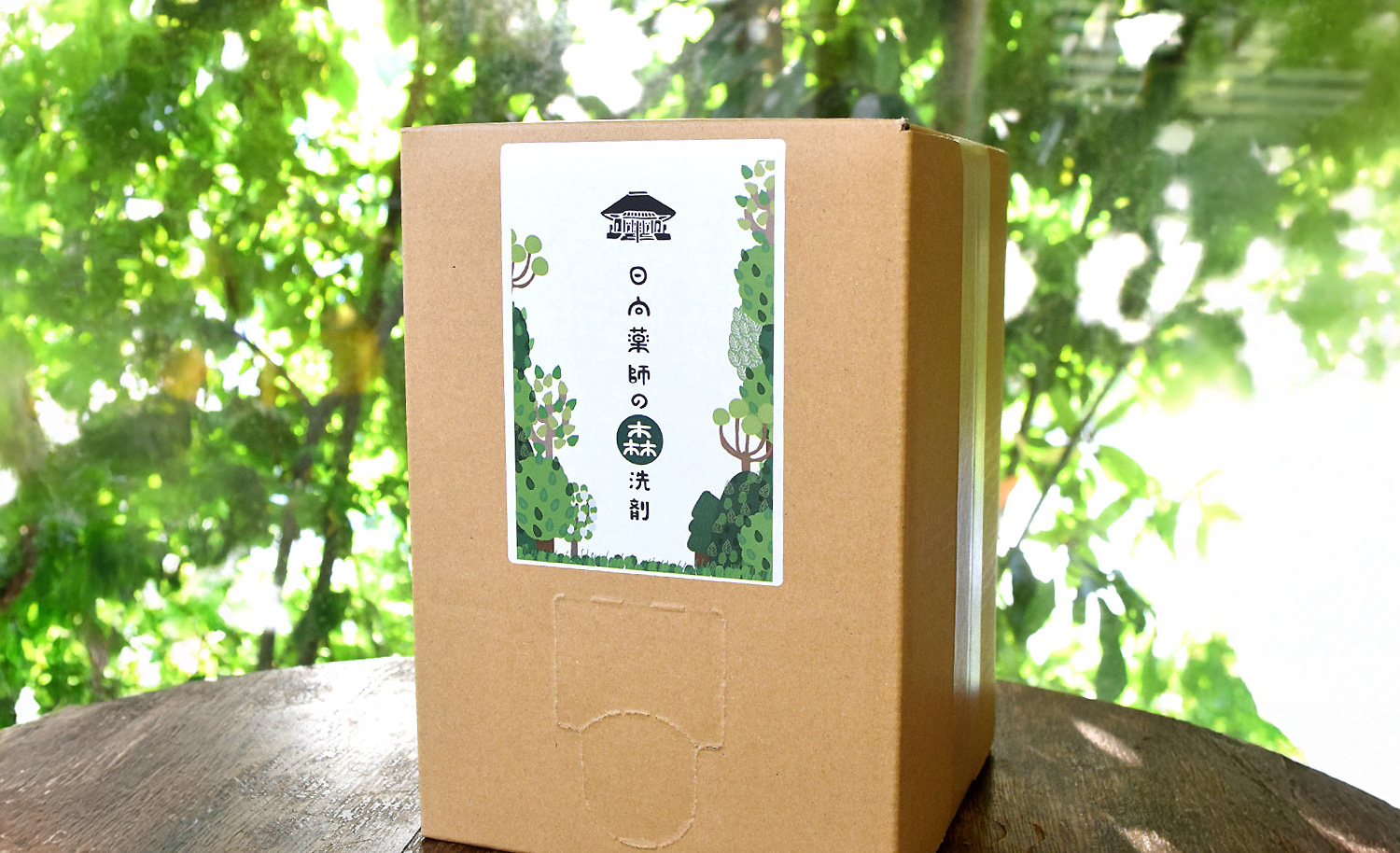 がんこ本舗, 海へ…, 地域洗剤, 地域循環共生圏, Regenerative Future, エコ洗剤, サステナブルライフ, アロマ, SDGs, 環境活動