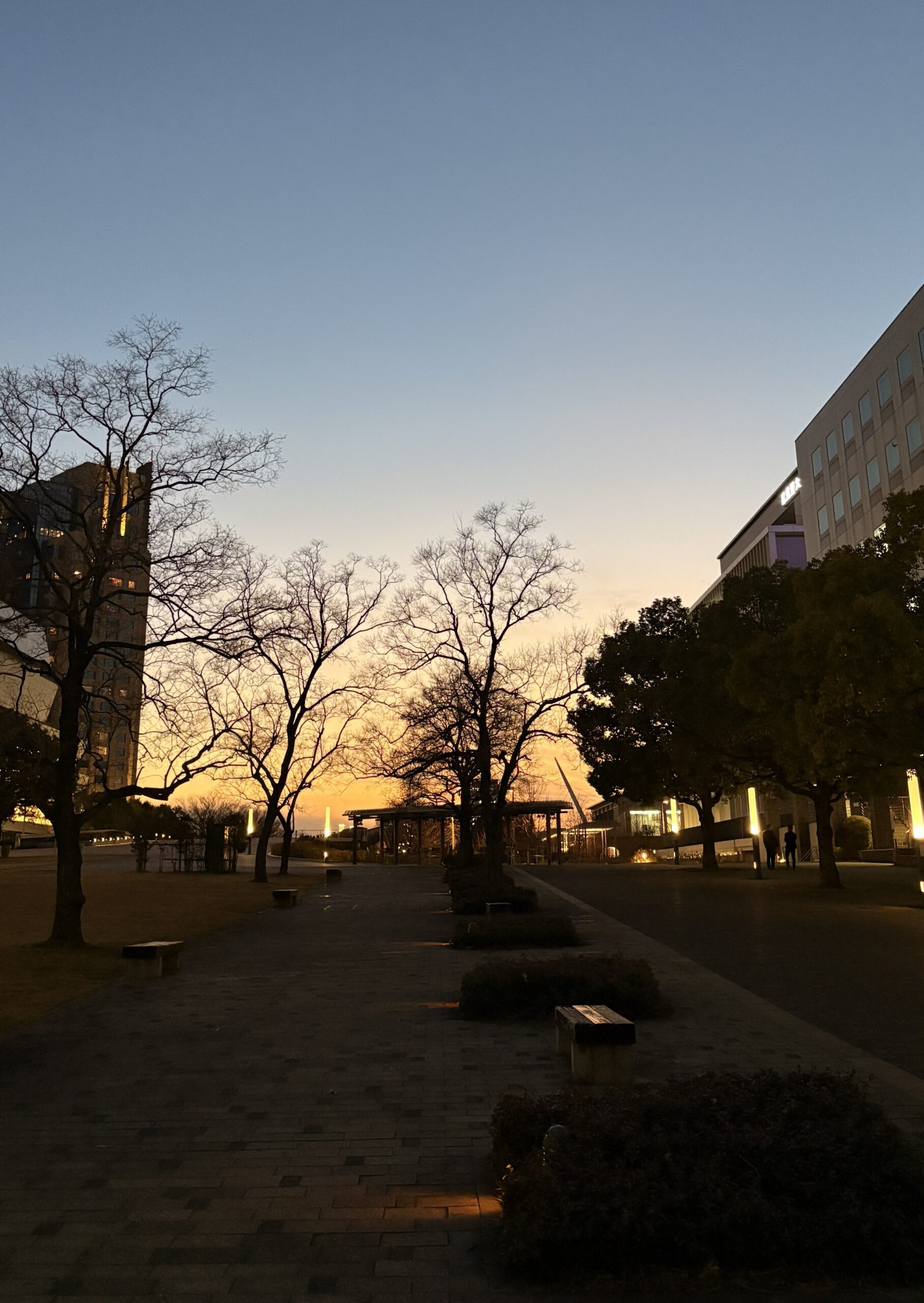 武蔵野大学　サステナビリティ学科　授業　ビオトープ　ハーブ　精油　アロマ　地域洗剤　環境　自然　洗剤