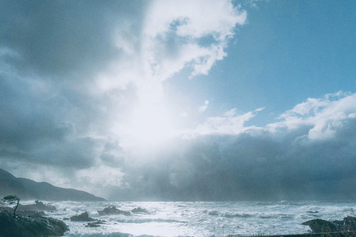 海を想うShampoo　HERBALCITRUS　Neptune　ハーブ　ニオイテンジクアオイ　柑橘　アロマ　精油　海へ…　がんこ本舗　週に1日は、海を想って。