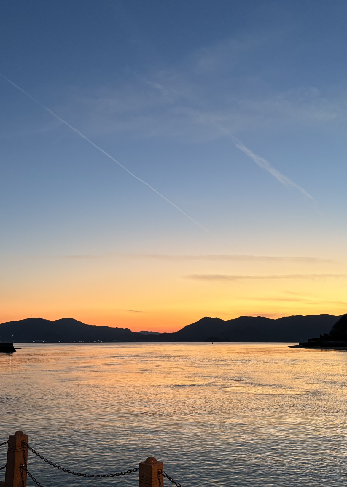 広島　尾道　生地島　瀬戸田町　レモン　れもんだにのうえん　自然栽培　アロマ　精油　蒸留　地域洗剤　がんこ本舗　dochaku　